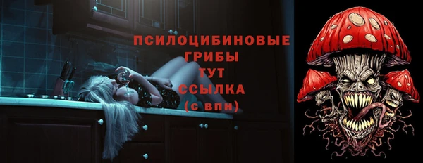 ECSTASY Аркадак
