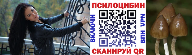 Галлюциногенные грибы мицелий цена наркотик Белокуриха